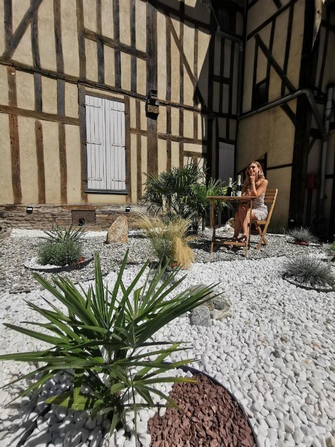 Le Chat De La Cathedrale - Calme - Jardin - Wifi Труа Экстерьер фото